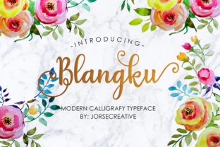 Blangku: The Hand Drawn Typeface for Modern Branding