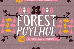 Forest Puyehue: The Handmade Typeface for Nature-Loved Brands