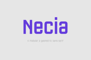 Necia Family: The Modern Typeface for Polished Branding