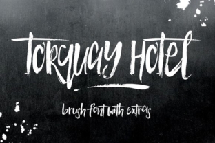Torquay Hotel: The Perfect Script Handwritten Font for Modern Web Design